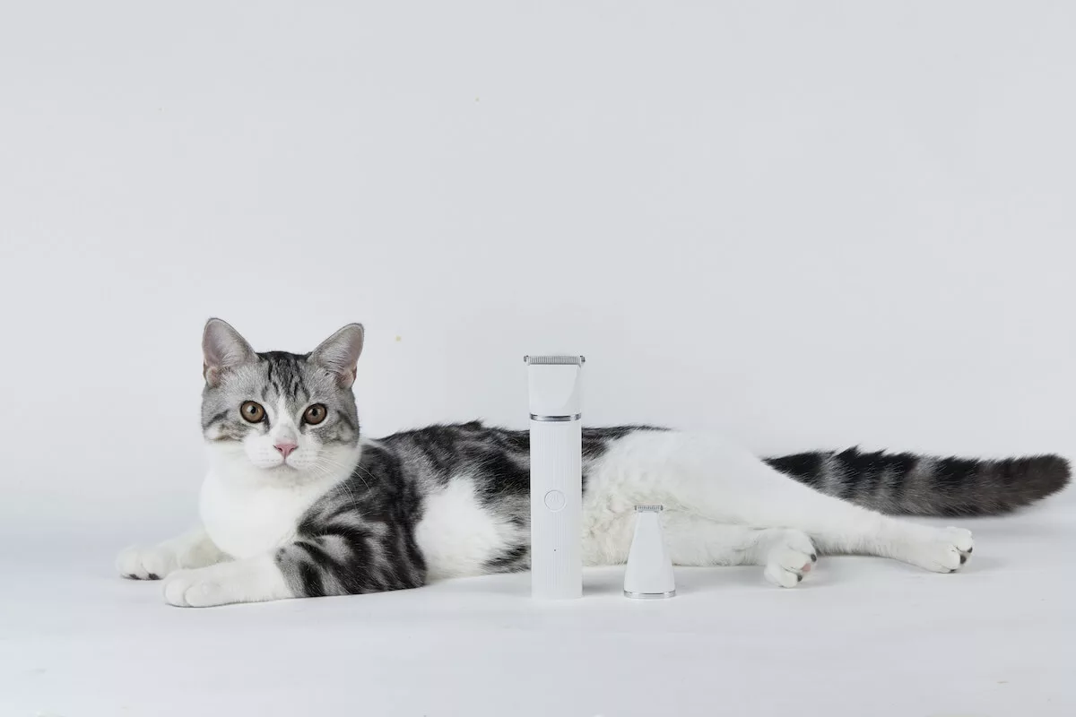 Trymer dla zwierząt Petkit 2 in 1 Pet Trimmer Pro