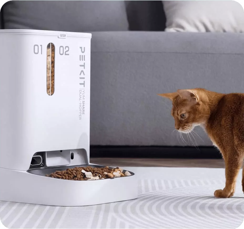 podajnik karmy petkit yumshare dual